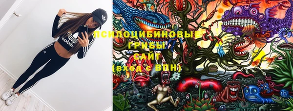 ешки Верея