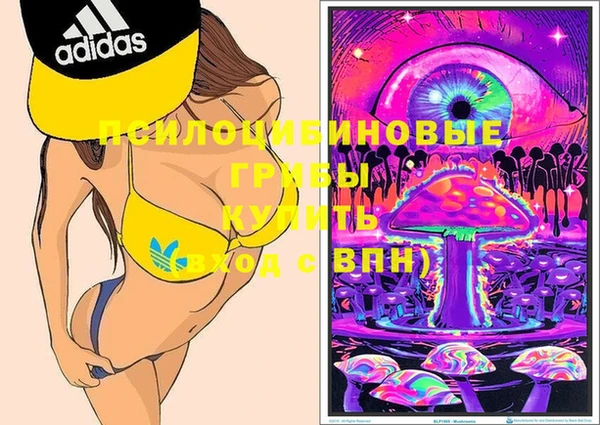 таблы Тайга