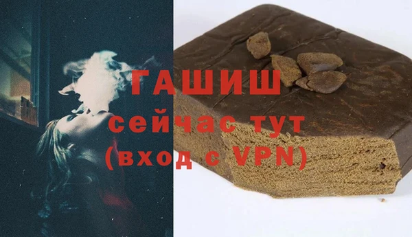 гидра Вяземский
