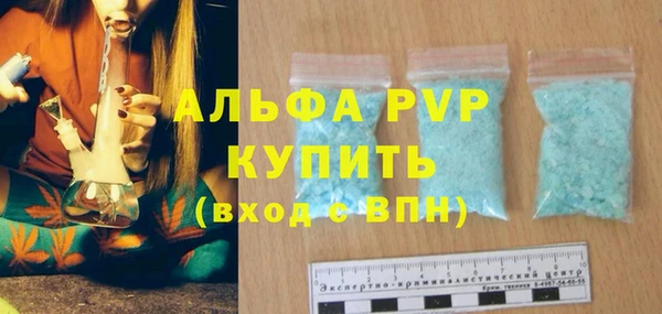 гидра Вяземский