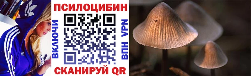 KRAKEN рабочий сайт  закладка  Дмитровск  Галлюциногенные грибы Cubensis 